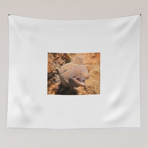 Item preview, White Mouth Moray Eel designed and sold by dvlcom.