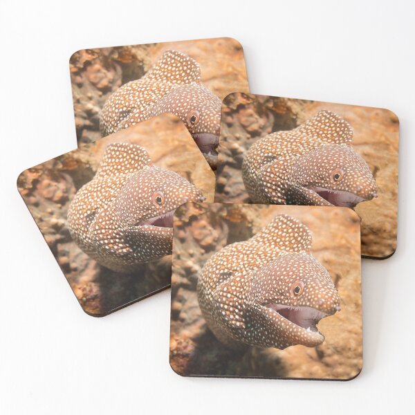 Item preview, White Mouth Moray Eel designed and sold by dvlcom.