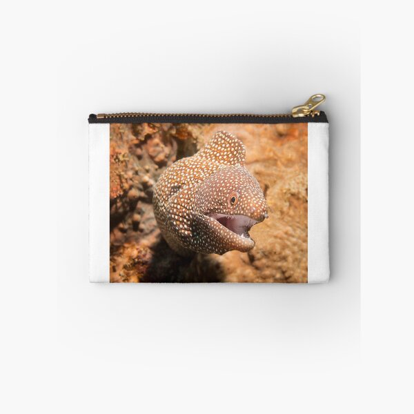 Item preview, White Mouth Moray Eel designed and sold by dvlcom.