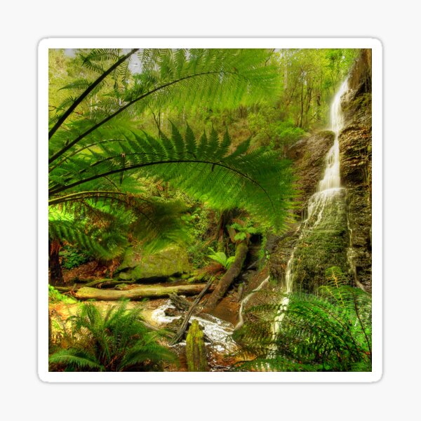 Item preview, Fern garden, Otway Ranges designed and sold by Kevin McGennan.