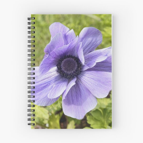 Item preview, Lilac Anemone designed and sold by Avril Harris.