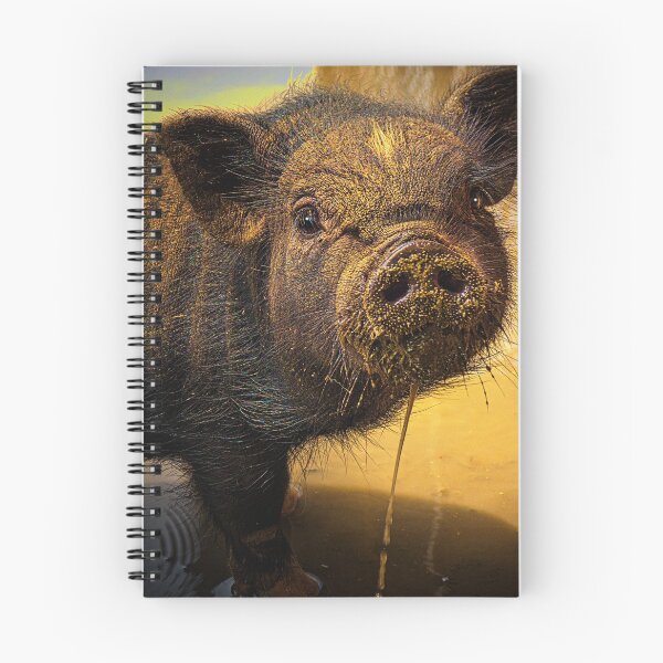 Item preview, SHARE, Don't Be A Little Piggy designed and sold by alabca.