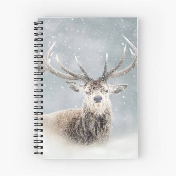 Item preview, Close up of a red deer in winter designed and sold by dgwildlife.