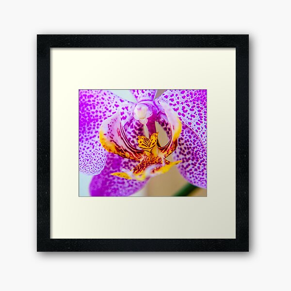 ORCHID Framed Art Print