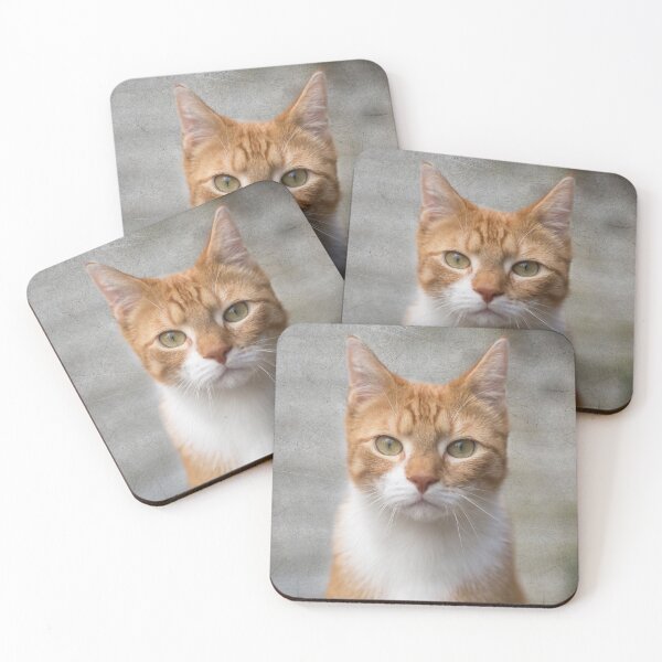 Item preview, Red cat looking at you designed and sold by Photopat.