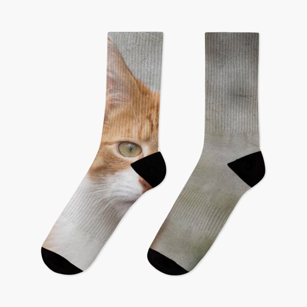 Item preview, Red cat looking at you designed and sold by Photopat.