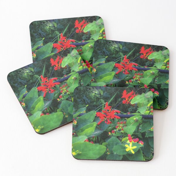 Item preview, Crocosmia Lucifer Flower  designed and sold by BritishYank.