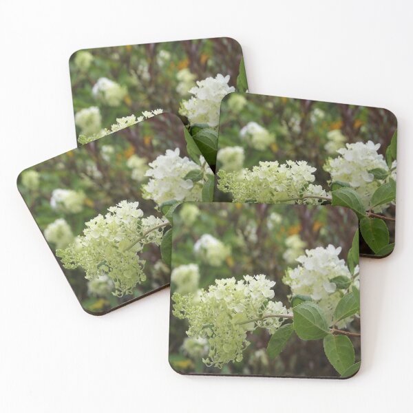 Item preview, Lovely Ivory White Hydrangea Blooms in the Garden designed and sold by myrubiogarden.