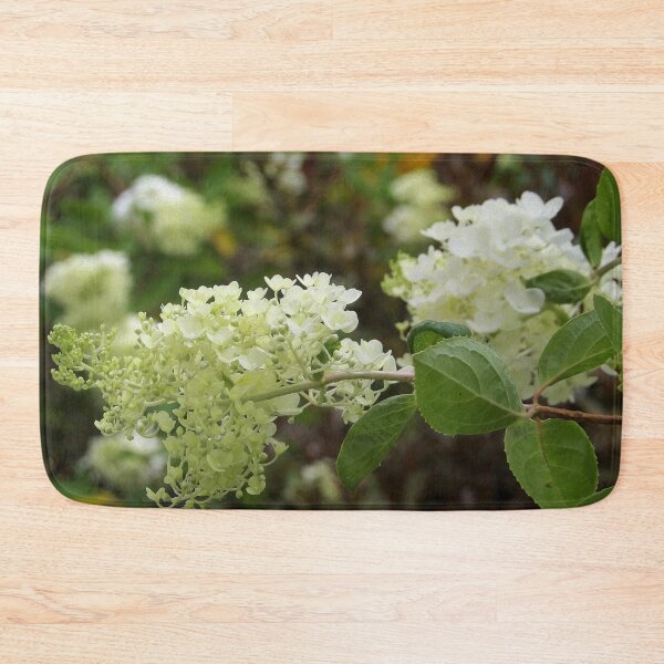 Item preview, Lovely Ivory White Hydrangea Blooms in the Garden designed and sold by myrubiogarden.