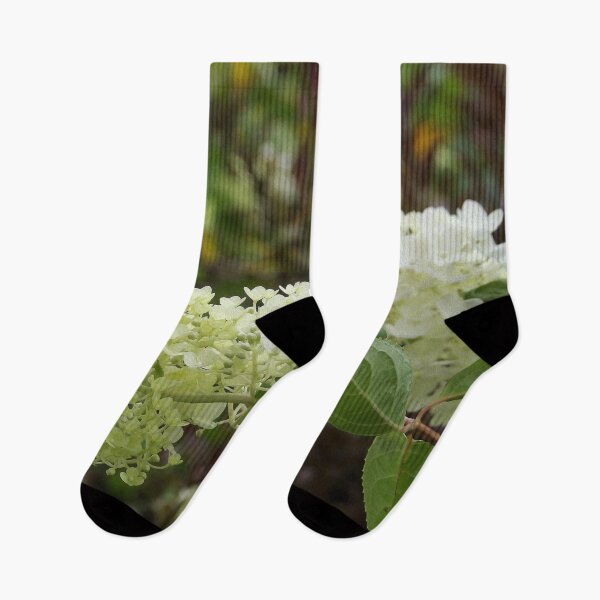 Item preview, Lovely Ivory White Hydrangea Blooms in the Garden designed and sold by myrubiogarden.
