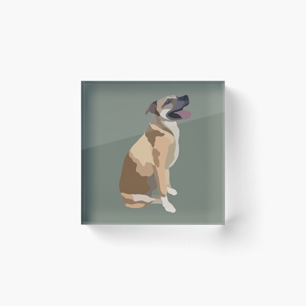 Acrylic Block Cartoon Pets Acrylic Blocks Custom pet Portraits Home Decor  Table Top Pictures Family Photos Pet Photo Gifts 