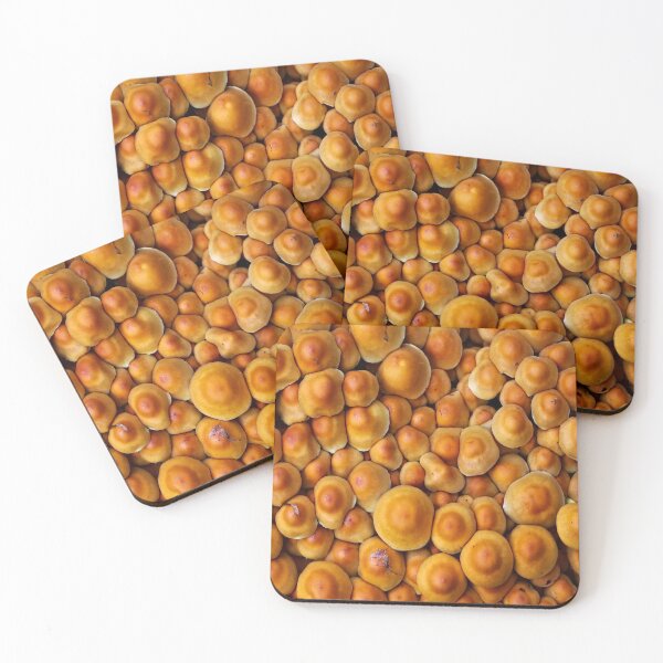 Item preview, mushrooms colony designed and sold by Urbo Panda.