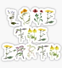 Liebe die Erde Sticker