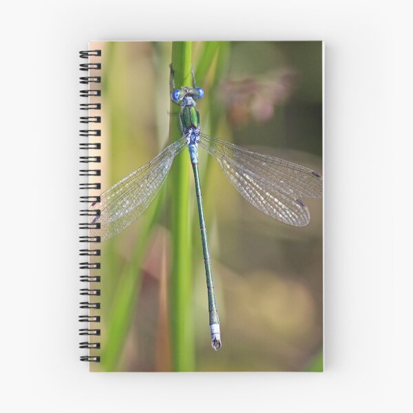 Item preview, The Emerald Damselfly designed and sold by Avril Harris.