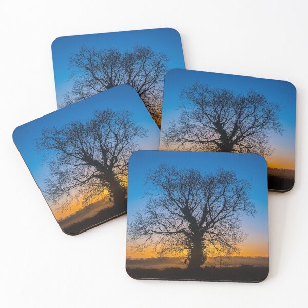 Item preview, Winter Sunrise behind an Ash Tree designed and sold by dvlcom.