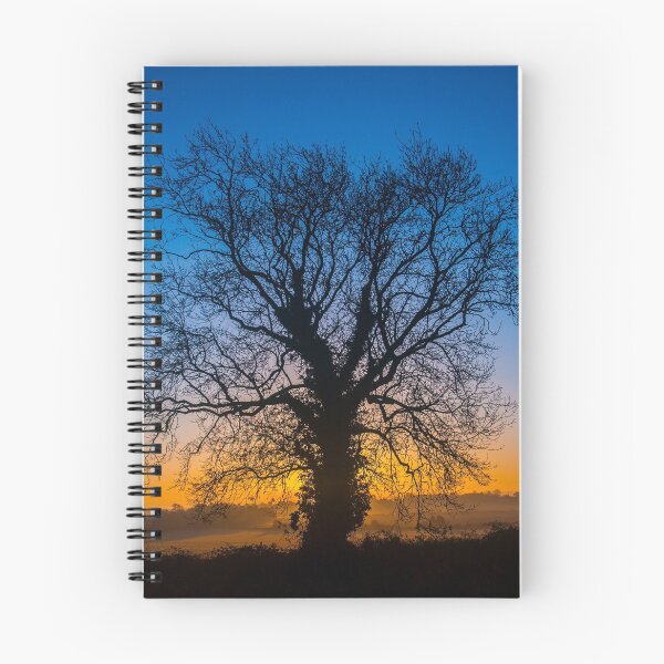 Item preview, Winter Sunrise behind an Ash Tree designed and sold by dvlcom.