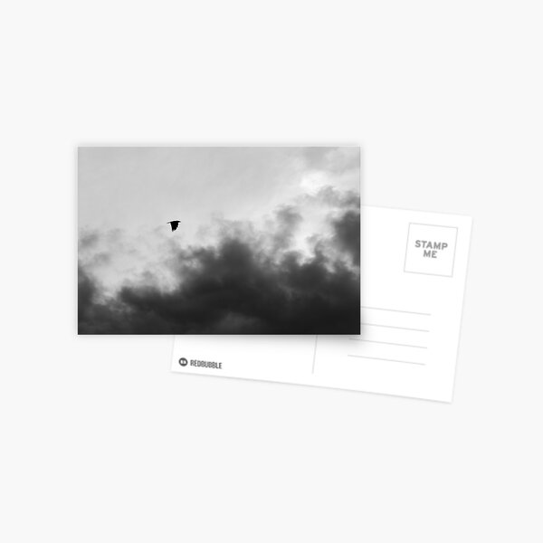 Storm Crow Postcard