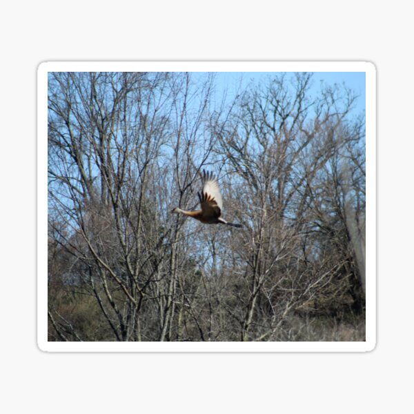Item preview, Flight of the Sandhill designed and sold by William Franklin-Cromwell.