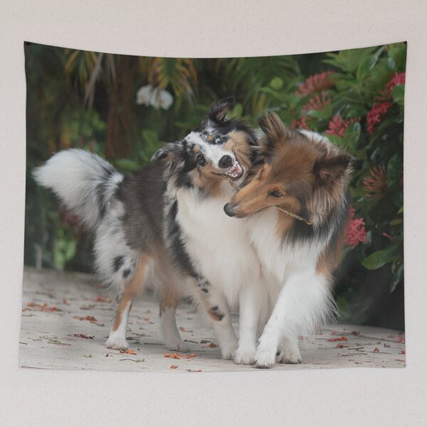 Item preview, Sheltie dogs playing designed and sold by flamendes.