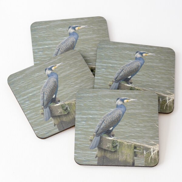 Item preview, Cormorant sitting above the water designed and sold by Anita van Gendt.