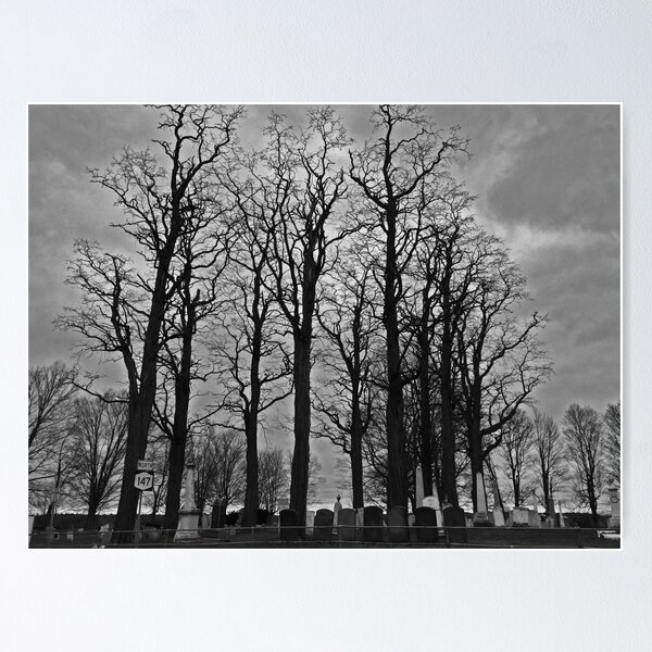 Cemetery Trees Poster