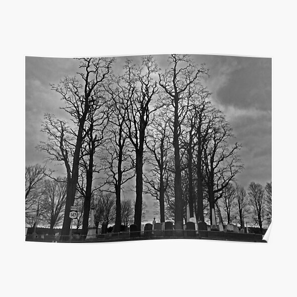 Cemetery Trees Poster