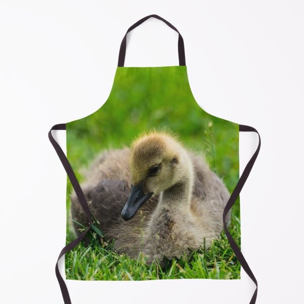 Item preview, Playing Bashful designed and sold by mljdwhite.