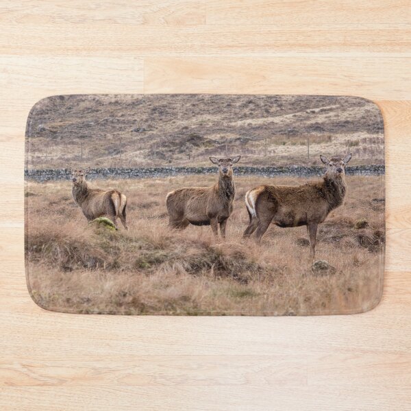Item preview, Family of Scotland wild red deer and stags  designed and sold by HaleyRedshaw.