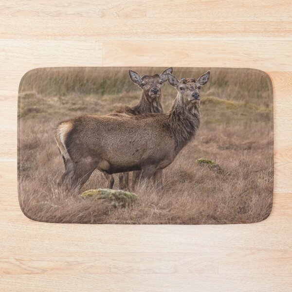 Item preview, A pair of beautiful wild Stags in the Scottish highlands  designed and sold by HaleyRedshaw.