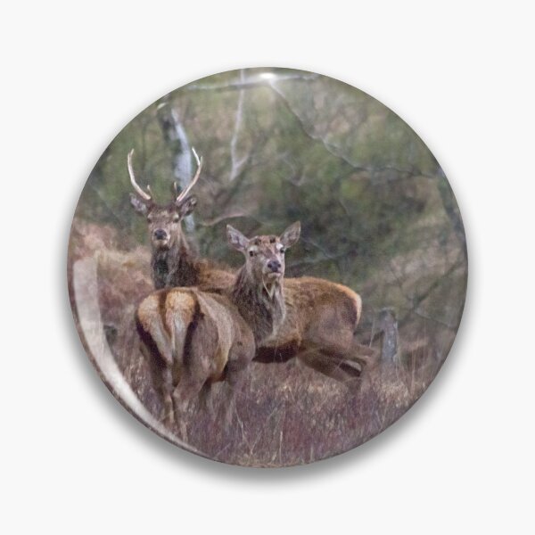 Item preview, stags in the Scottish Highlands designed and sold by HaleyRedshaw.
