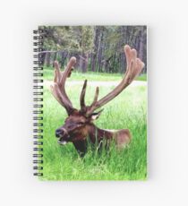 Cuaderno de espiral Bull Elk