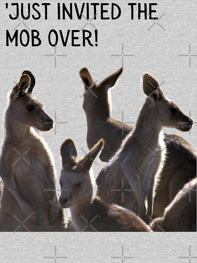Just invited the mob over! Mob of kangaroos. Photograph and black text.