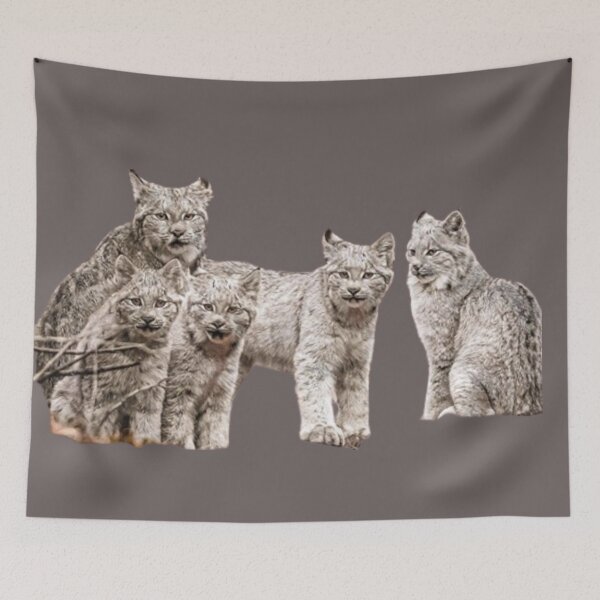 Item preview, The little lynx family. designed and sold by Karine Dupras.