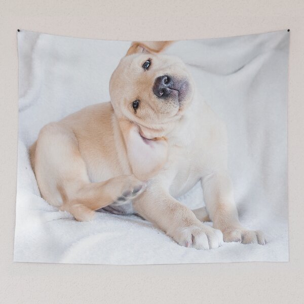 Item preview,  Golden labrador puppy designed and sold by HaleyRedshaw.