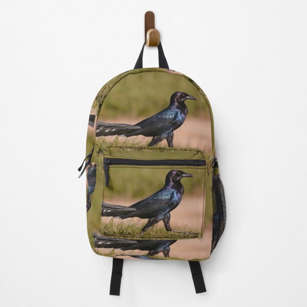 Item preview, Boat-tailed Grackle walking designed and sold by Zina Stromberg.