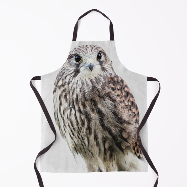 Item preview, Birds of pray hawk designed and sold by HaleyRedshaw.