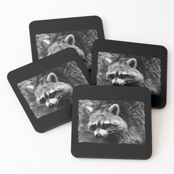 Item preview, racoon designed and sold by Glineur.