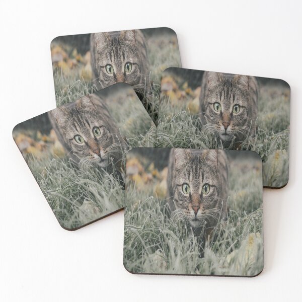 Item preview, I see like a cat designed and sold by shop86.