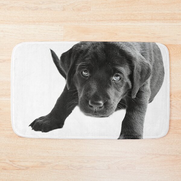 Item preview, Cute little Black  labrador puppy designed and sold by HaleyRedshaw.