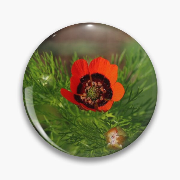 Item preview, Summer Adonis designed and sold by NW-Photo-Art.