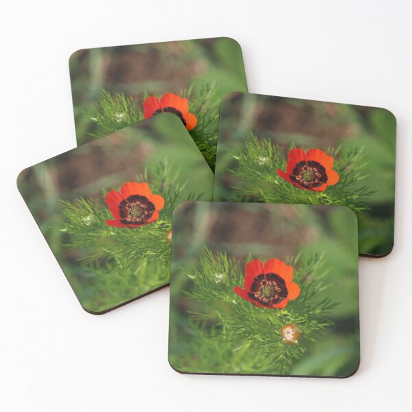 Item preview, Summer Adonis designed and sold by NW-Photo-Art.