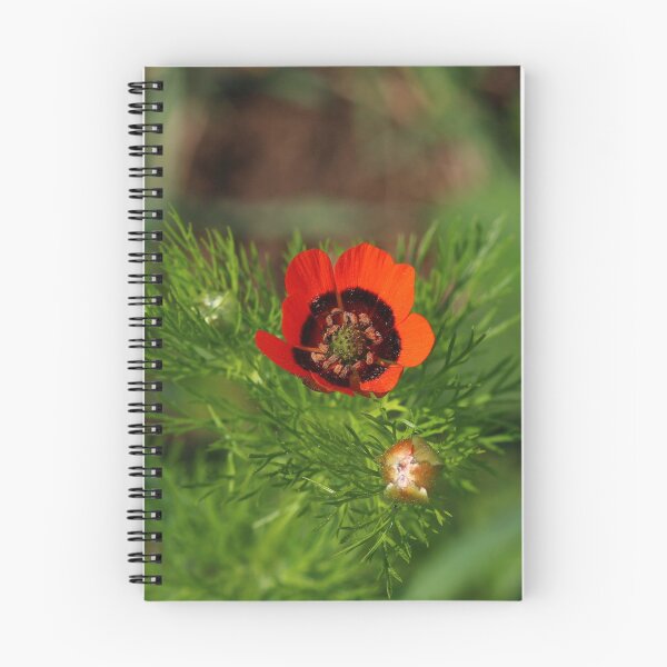 Item preview, Summer Adonis designed and sold by NW-Photo-Art.