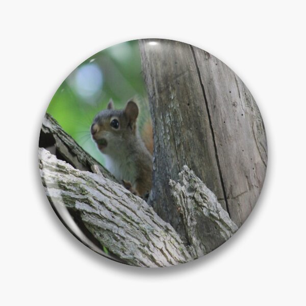 Item preview, Peek-A-Boo Brown Squirrel designed and sold by William Franklin-Cromwell.