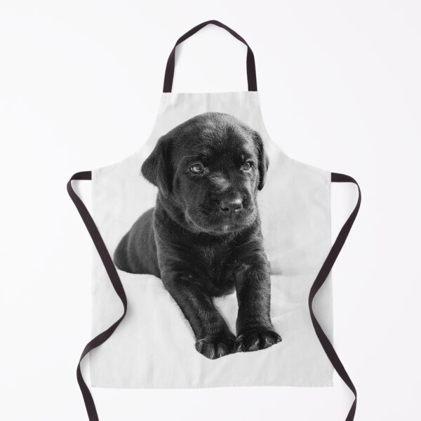 Item preview, Black  labrador puppy designed and sold by HaleyRedshaw.