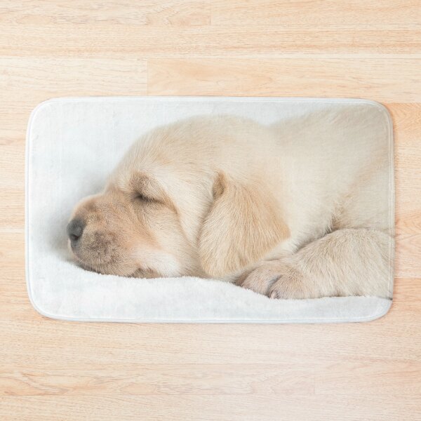 Item preview, Golden labrador puppy sleeping designed and sold by HaleyRedshaw.