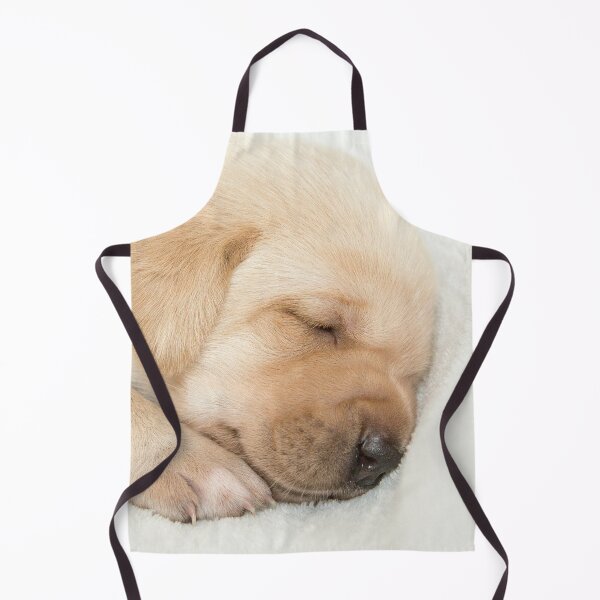 Item preview, Sleeping Golden labrador puppy designed and sold by HaleyRedshaw.