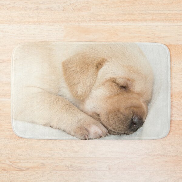 Item preview, Sleeping Golden labrador puppy designed and sold by HaleyRedshaw.