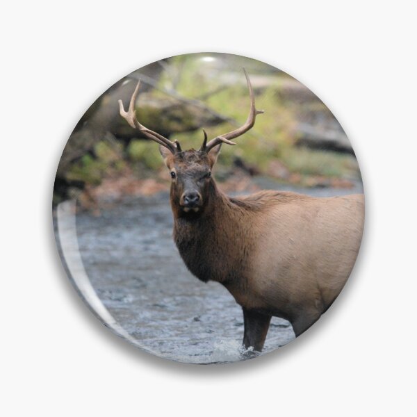 Item preview, A Bull Elk crossing the Oconaluftee River designed and sold by Jeff Ore.