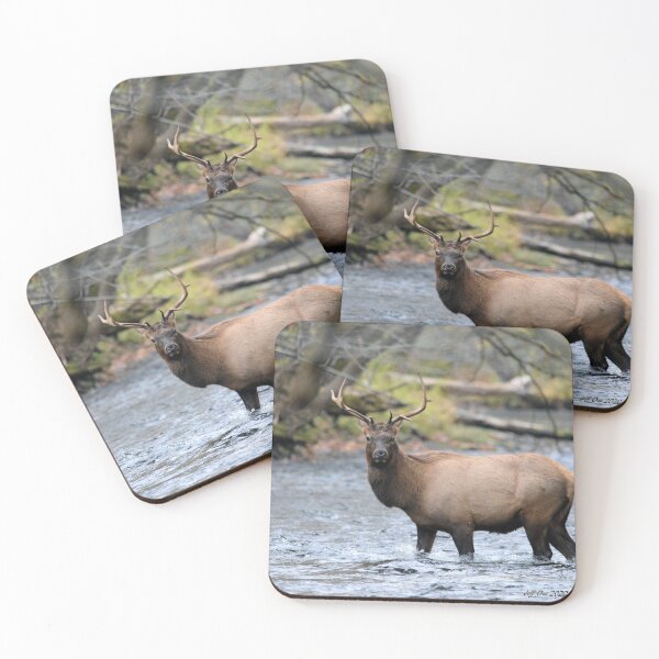Item preview, A Bull Elk crossing the Oconaluftee River designed and sold by Jeff Ore.