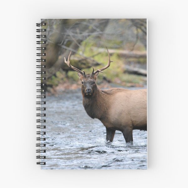 Item preview, A Bull Elk crossing the Oconaluftee River designed and sold by Jeff Ore.